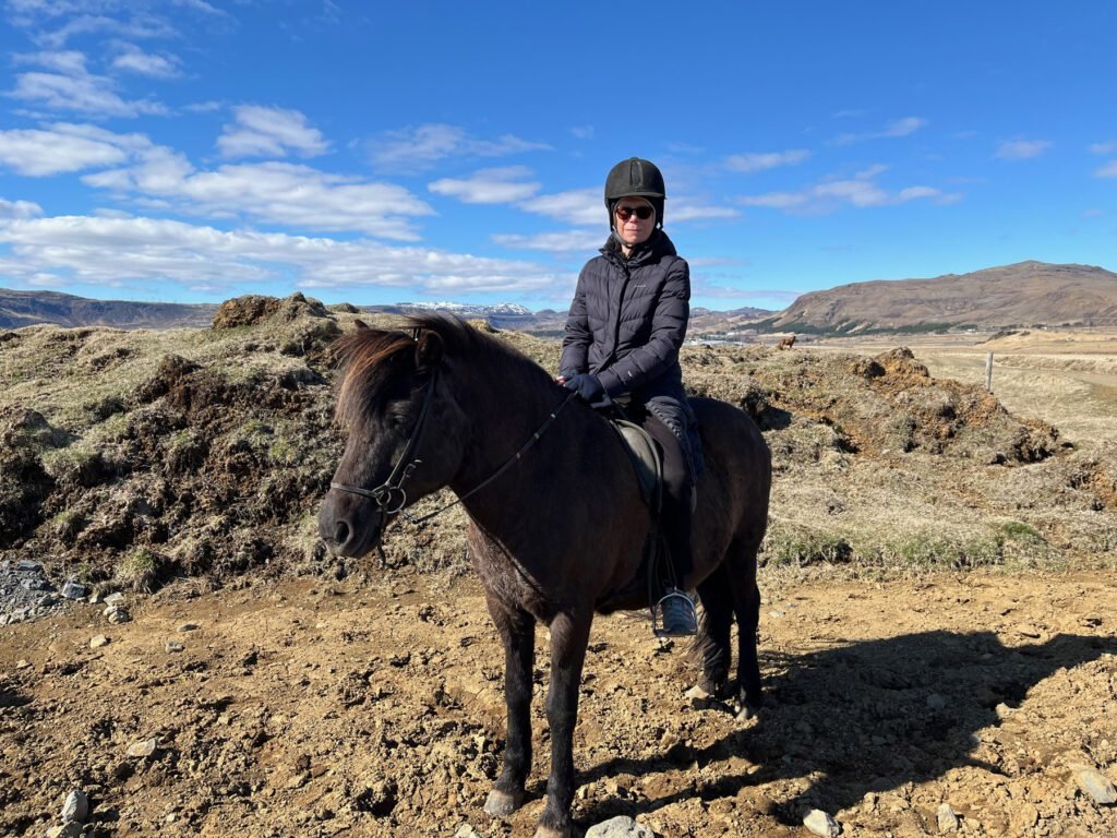 Horse riding in Iceland