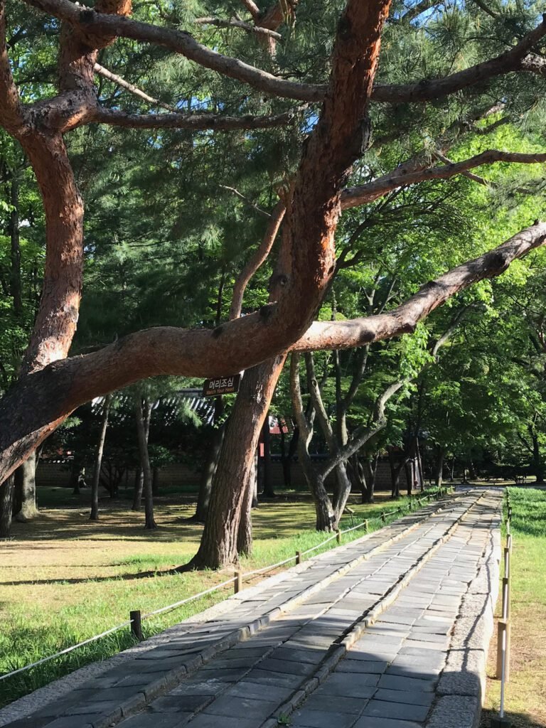 The"King's Walkway" at Jongmyo Shrine. The raised central section is reserved for the spirits of deceased Joseon Dynasty kings. The king and crown prince would use the lower paths at the sides.