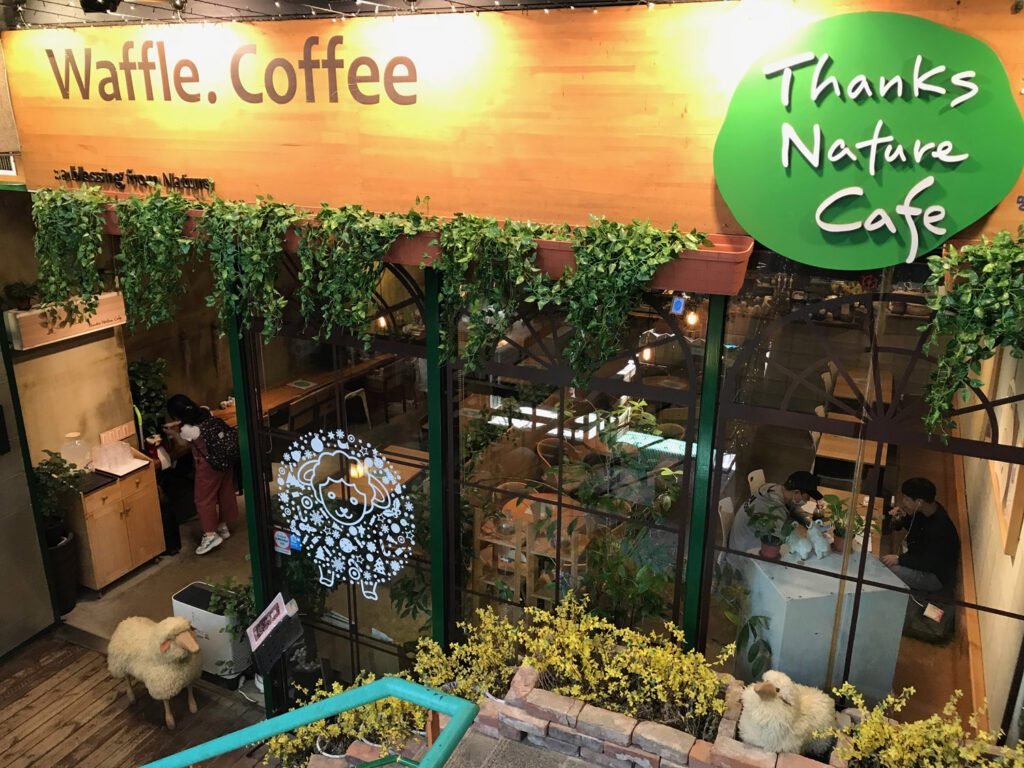 Thanks Nature Cafe, Seoul.
