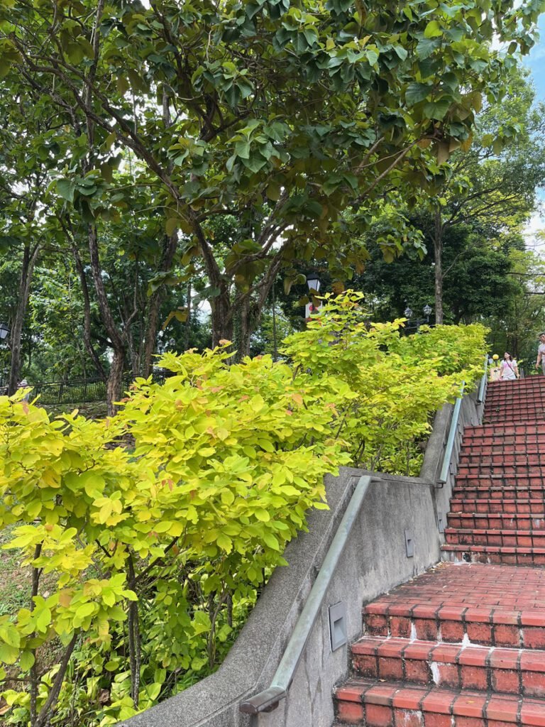 Fort Canning Park is hilly in places, with steps leading from one area to the next.