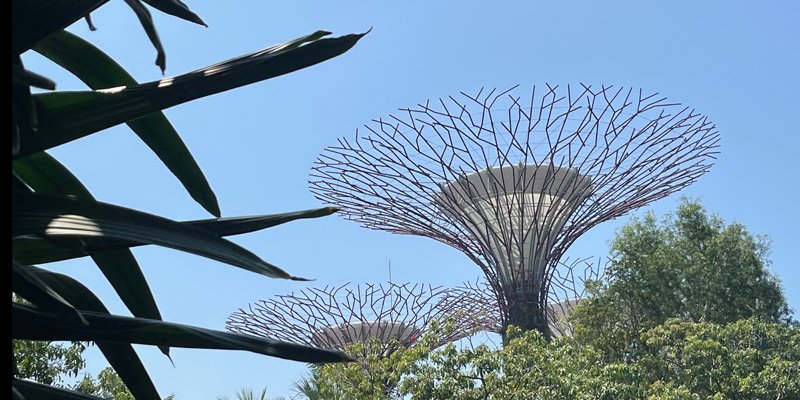 Singapore itinerary. One week in Singapore.