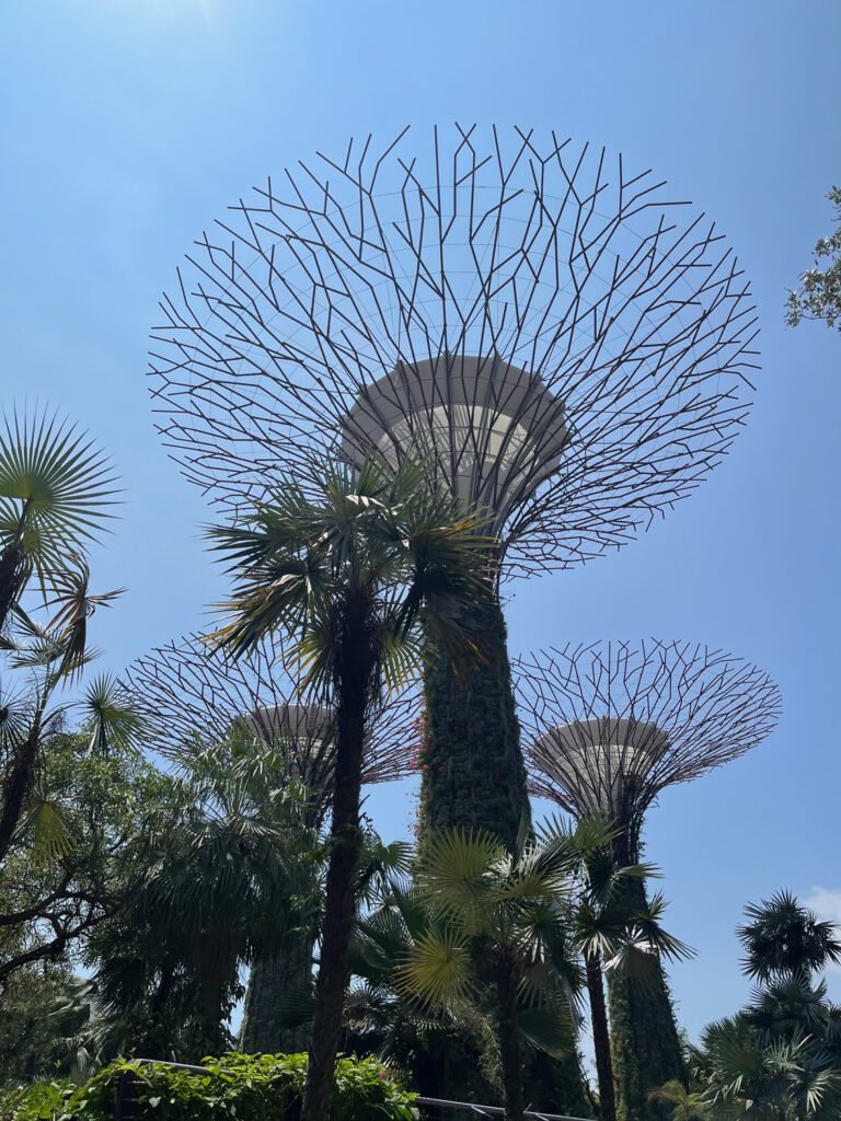 Towering Supertrees are an architectural and botanical marvel at Gardens by the Bay in Singapore.