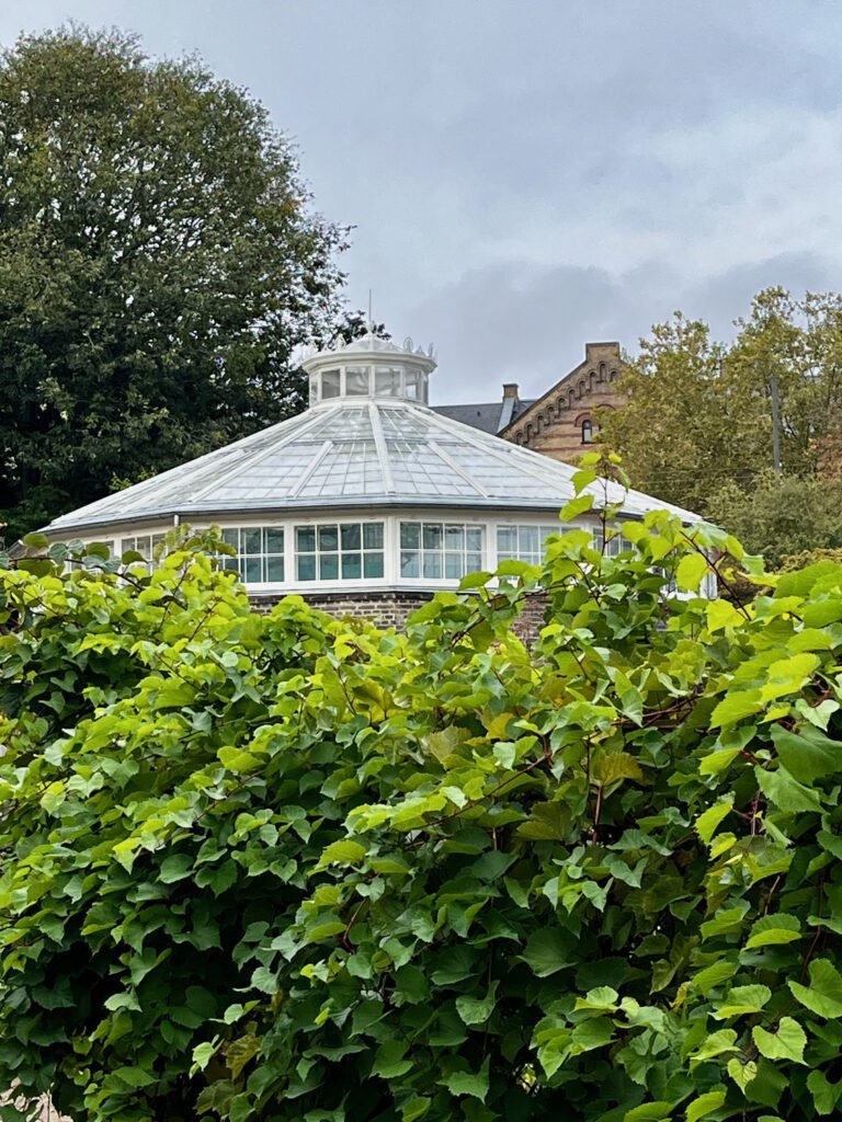 Copenhagen Botanic Gardens feature many glasshouses for people to visit. Don't miss these gorgeous gardens, whatever the time of year when visiting Copenhagen.