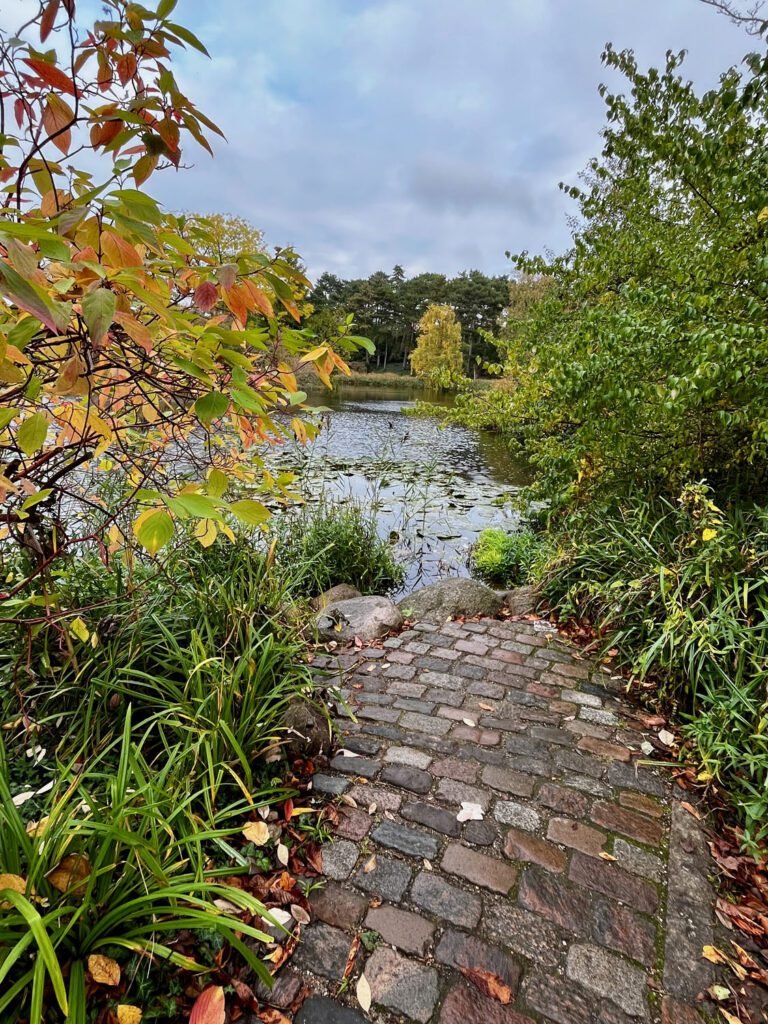Copenhagen Botanic Gardens — Copenhagen travel for older travellers.
