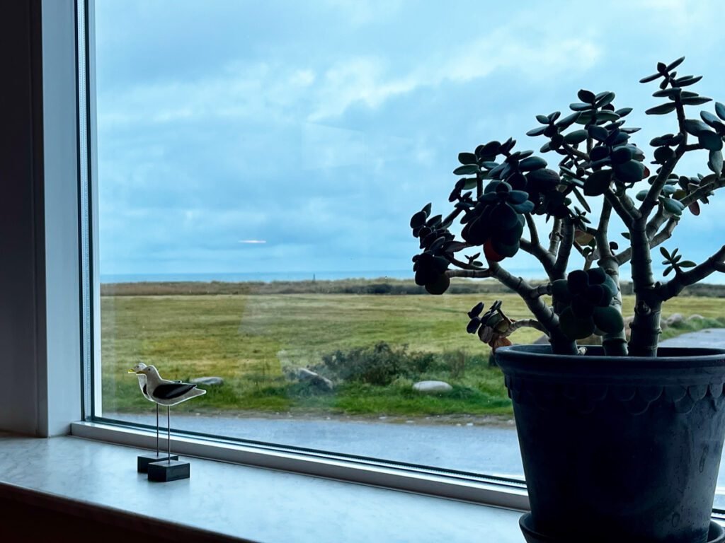 B&B by the Sea - the perfect accommodation for a short stay in Hirtshals. Just across the road from the beach, the view is uplifting.