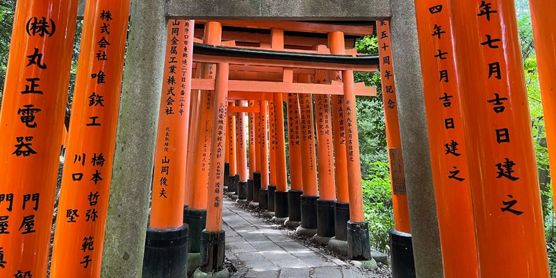 Japan for Seniors: How to plan the perfect independent trip | Solo travel for women 60+