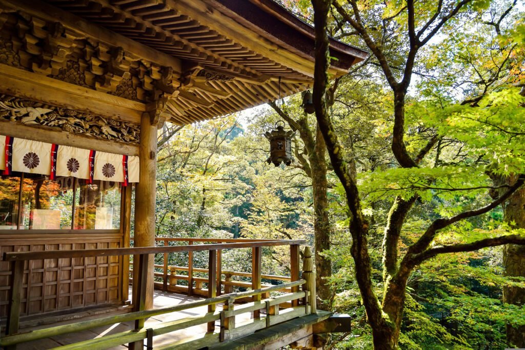 Japan for Seniors: How to plan the perfect independent trip
