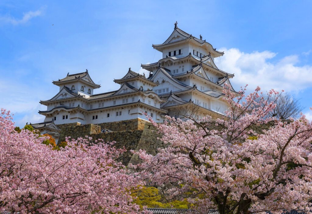 Spring (or Fall) in Japan is a popular time to visit, but also comes with large crowds. Autumn (Fall) is often the best time to visit Japan for seniors.